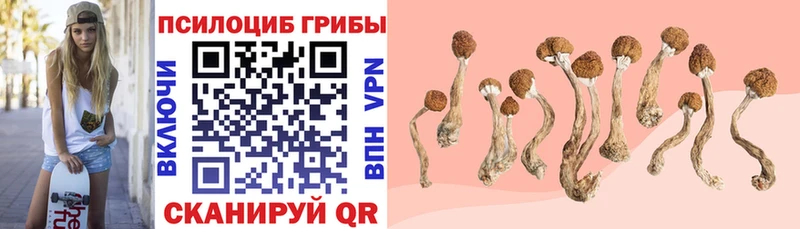 Галлюциногенные грибы GOLDEN TEACHER  наркотики  ОМГ ОМГ   Казань 
